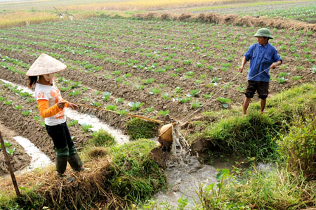 Vietnam bemüht sich um eine schnelle und nachhaltige Armutsminderung
